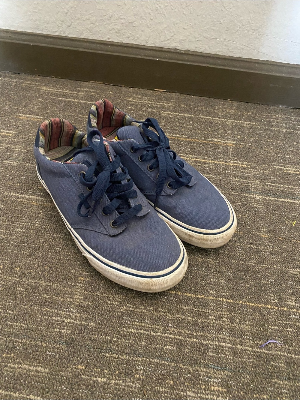 Vans Navy Canvas Low-Top Sneakers with Striped Lining